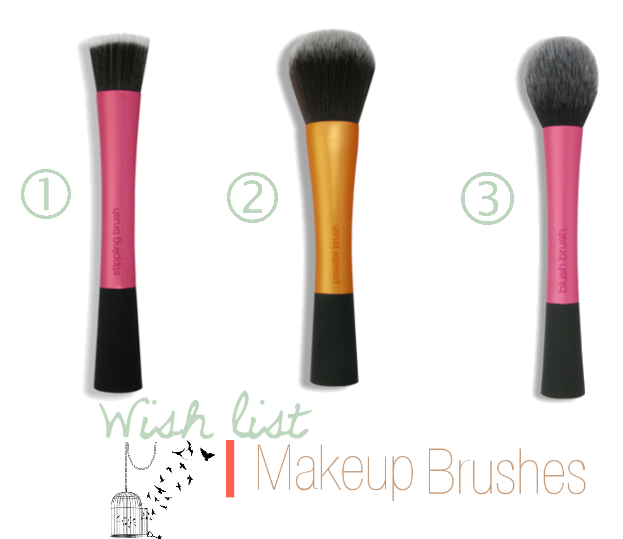 You saw brushes on wish makeup party online